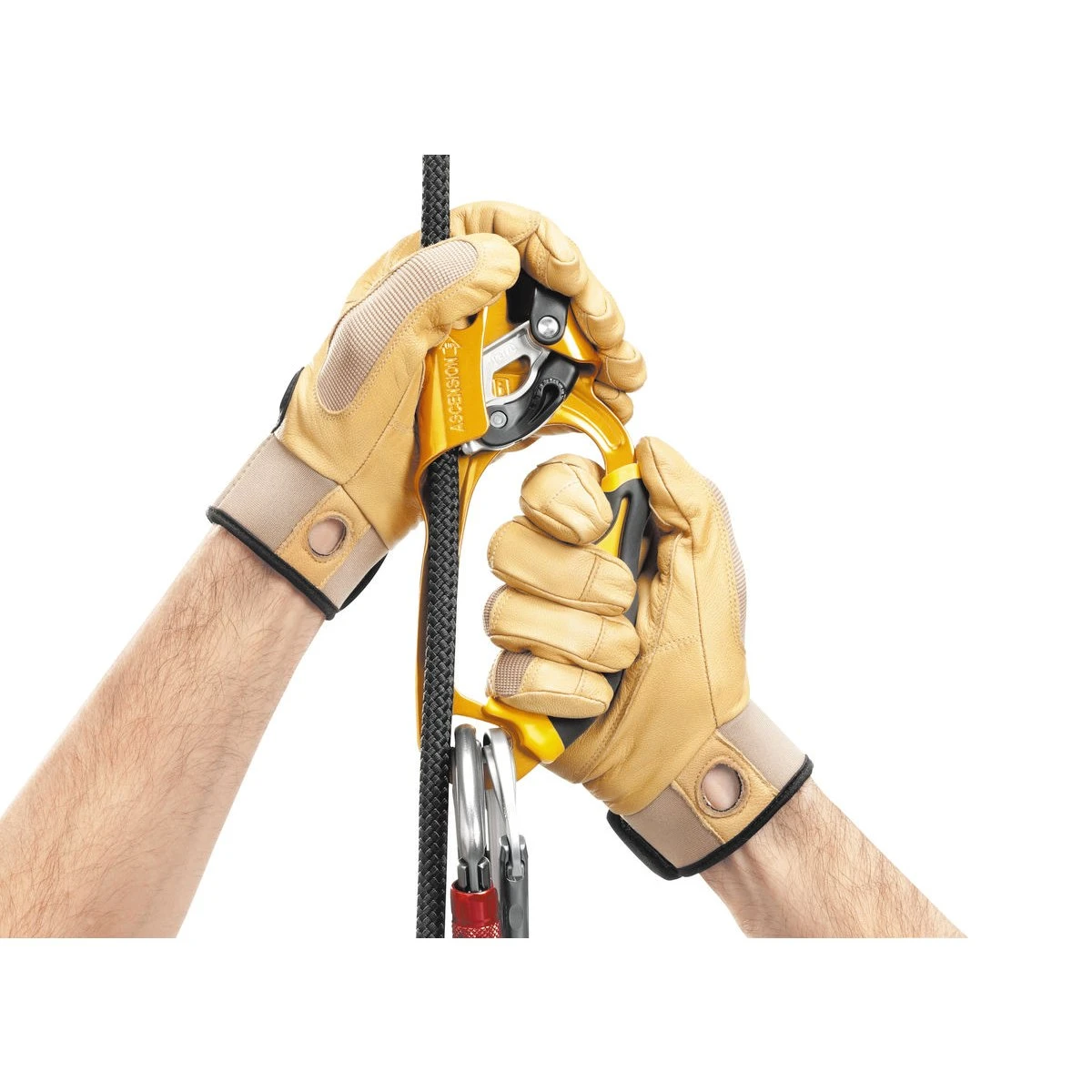 Petzl Ascension Handled Ascender 6 Petzl Ascension Handled Ascender - Image 4