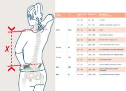 Deuter Futura Pro 34 SL Dames Rugzak - Redwood-lava -Camping Keuken Verkoop backlength measurement 1428892 1