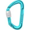 Edelrid Pure Screw III Karabijnhaak - Icemint -Camping Keuken Verkoop edelrid pure screw 4 1467478