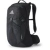 Gregory Citro 24 Backpack - Ozone Black