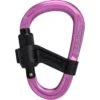 Mammut Smart HMS 2.0 Screwgate Carabiner - Pink -Camping Keuken Verkoop mammut smart hms 20 div 2040 02550 5 1170478